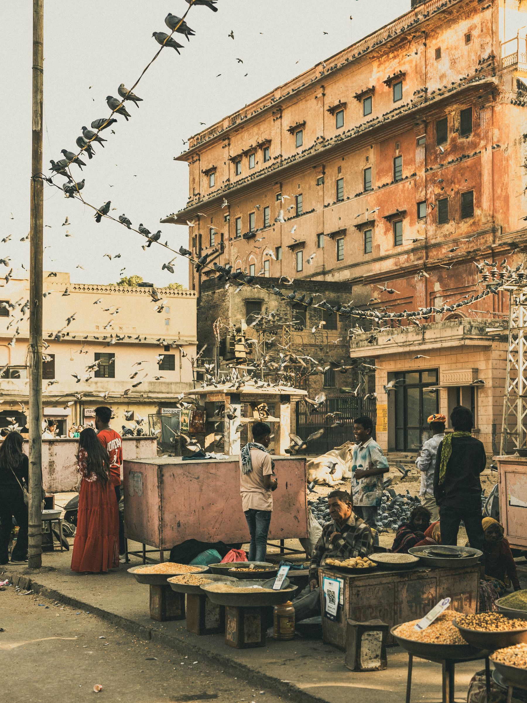 Street Food Cart And Pigeons